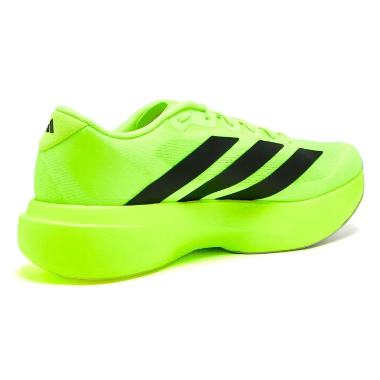 adidas Adizero Evo SL \ Lucid Lemon
