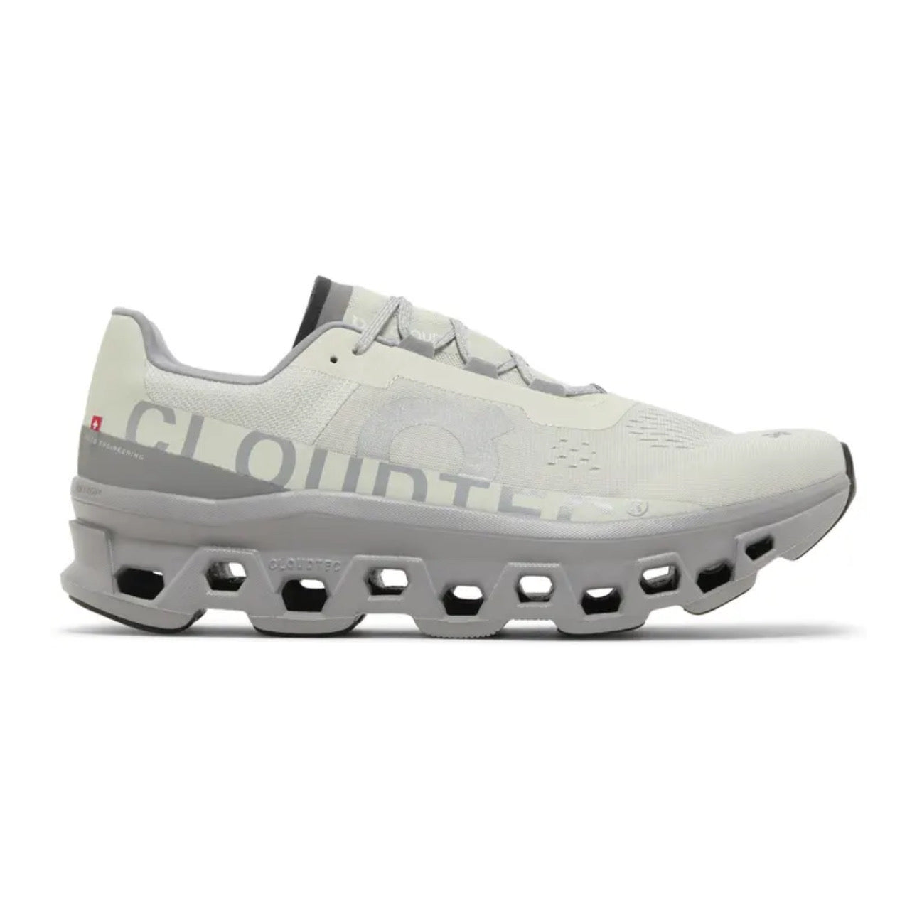 On Running Cloudmonster \ Ice Alloy