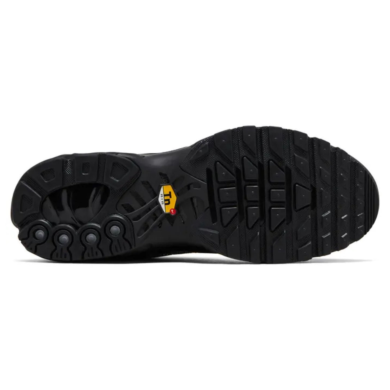 Nike Air Max Plus \ Moonlight
