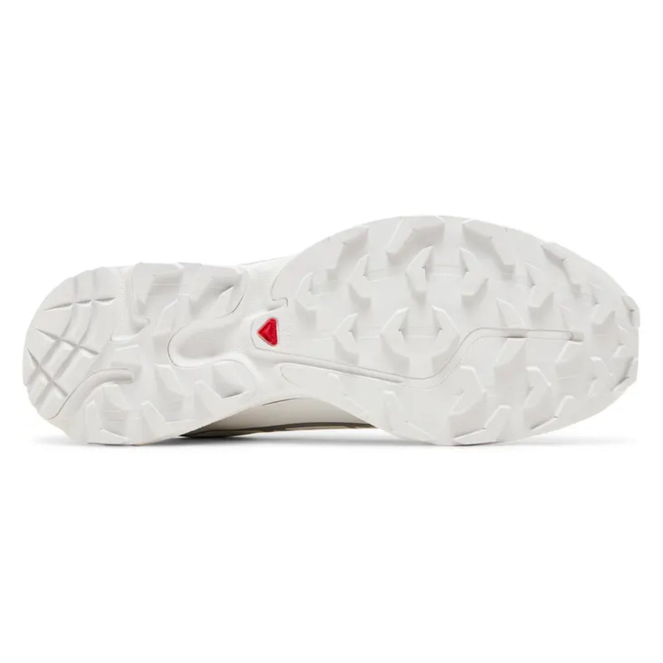 Salomon XT-6 Gore-tex \ White Silver